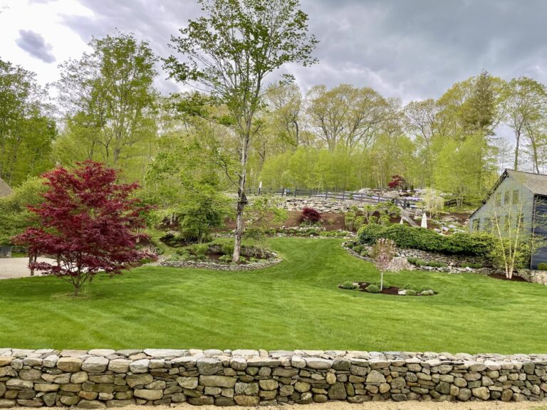 Residential mowed lawn in connecticut High vibe Gardens