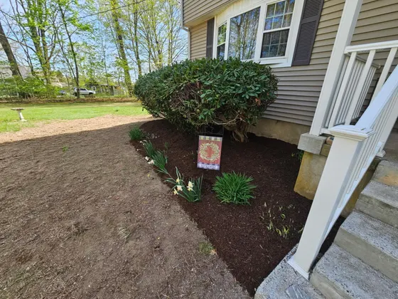 The same garden bed after a High Vibe Gardens spring cleanup, cleared, edged and fresh mulch