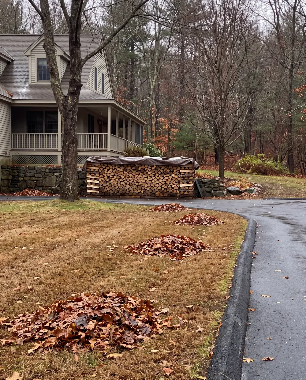 Yard after storm clean-up